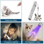 Interactive Cat Toys for Indoor Fun