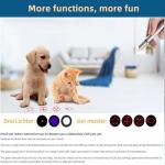 Interactive Cat Toys for Indoor Fun