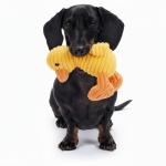 Zappi Co Yellow Duck Squeaky Plush Toy for Dogs