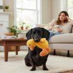 Zappi Co Yellow Duck Squeaky Plush Toy for Dogs