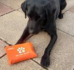 Planet Percy® Pet First Aid Kit - 80+ Supplies