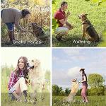 Jiuhao Adjustable Ultrasonic Dog Training Whistle