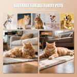 Cat Steam Brush and DeFur Comb for Pets