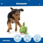 BARK Consuela Cactus Interactive Plush Dog Toy