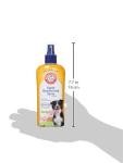 Arm & Hammer Super Deodorizing Spray for Dogs