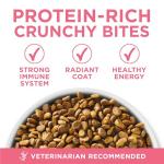 Purina ONE High Protein Natural Dry Kitten Food