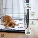 Extra Large Washable Pee Pads for Dogs - 2-Pack