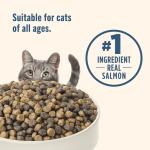 Nutrish Salmon & Brown Rice Cat Food, 6 lb