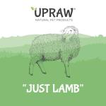 Natural Grain-Free Dog Training Treats - 1kg Lamb