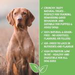 Natural Grain-Free Dog Training Treats - 1kg Lamb