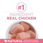 Purina ONE High Protein Natural Dry Kitten Food