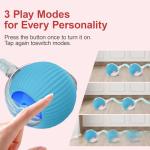 Interactive 2-Pack Cat Toys with Rolling Balls