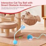 Interactive 2-Pack Cat Toys with Rolling Balls