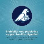 Kaytee Forti-Diet Pro Health Cockatiel Food 5 lb