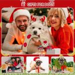 Christmas Squeaky Puzzle Dog Toys - No Stuffing