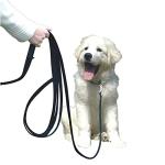 Clix 5m Long Line Dog Training Leash
