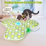 Interactive Cat Toys with Switchable Feather Mouse Tail