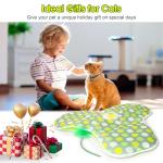 Interactive Cat Toys with Switchable Feather Mouse Tail