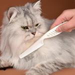 Flea and Tear Stain Comb for Dogs and Cats