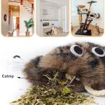 Interactive Catnip Toy for Indoor Cats