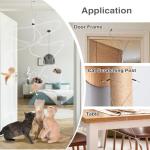 Interactive Catnip Toy for Indoor Cats