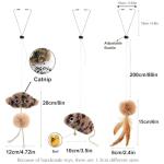 Interactive Catnip Toy for Indoor Cats