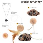Interactive Catnip Toy for Indoor Cats