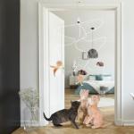 Interactive Catnip Toy for Indoor Cats