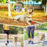 Reflective Training Leads for Dogs, Multiple Lengths