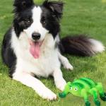 3-Pack Squeaky Latex Dog Toys for Fetching Fun