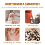 Twisty Paws Interactive Cat Toy with Scratcher