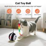 Interactive Cat Ball Toy with Bird Sounds