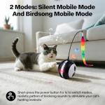 Interactive Cat Ball Toy with Bird Sounds