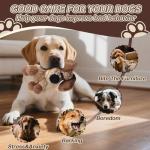 Squeaky Plush Dog Toy for Small to Medium Dogs