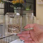 Ferplast CANTO Exotic Bird Cage for Canaries