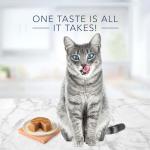 Blue Buffalo Tastefuls Wet Cat Food Variety Pack