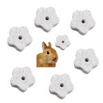 6-Pack Chew Toys for Small Pets and Birds
