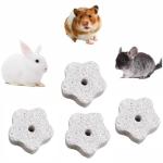 6-Pack Chew Toys for Small Pets and Birds