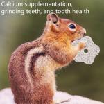 6-Pack Chew Toys for Small Pets and Birds