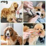 5-in-1 Dog and Cat Grooming Kit