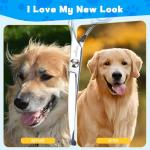 5-in-1 Dog and Cat Grooming Kit