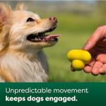 Earth Rated Interactive Fetch Dog Ball, Yellow