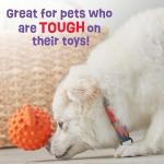 Brightkins Pufferfish Treat Dispenser for Small Dogs