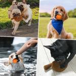 Namsan Interactive Plush Dog Toy with Squeaky Ball