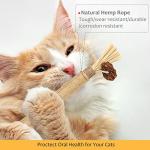 6 Packs Natural Silvervine Chew Sticks for Cats