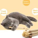 6 Packs Natural Silvervine Chew Sticks for Cats
