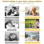 6 Pack Interactive Plush Puppy Chew Toys