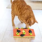 Nina Ottosson Melon Madness Cat Puzzle Toy