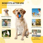 8-Piece Squeaky Indestructible Dog Balls Set