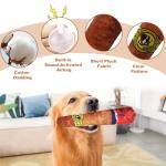 Funny Squeaky Plush Dog Toys - 2 Pack